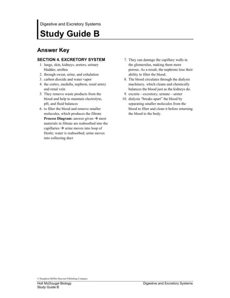 the urinary system study guide answer key