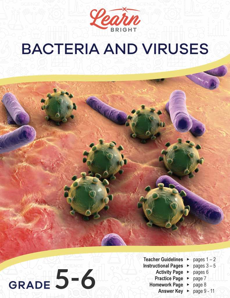 virus and bacteria worksheet answer key