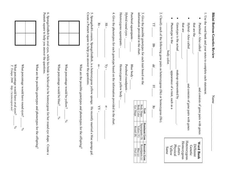 bikini bottom genetics review answer key