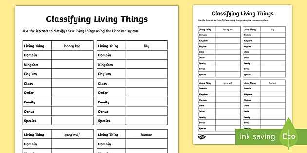 how are living things classified lesson review answer key