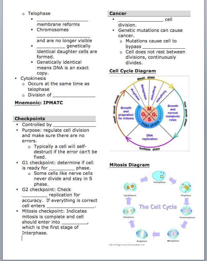 the cell cycle and mitosis cell fie science answer key
