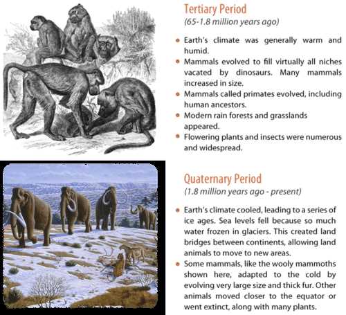 the cenozoic era lesson 4 answer key