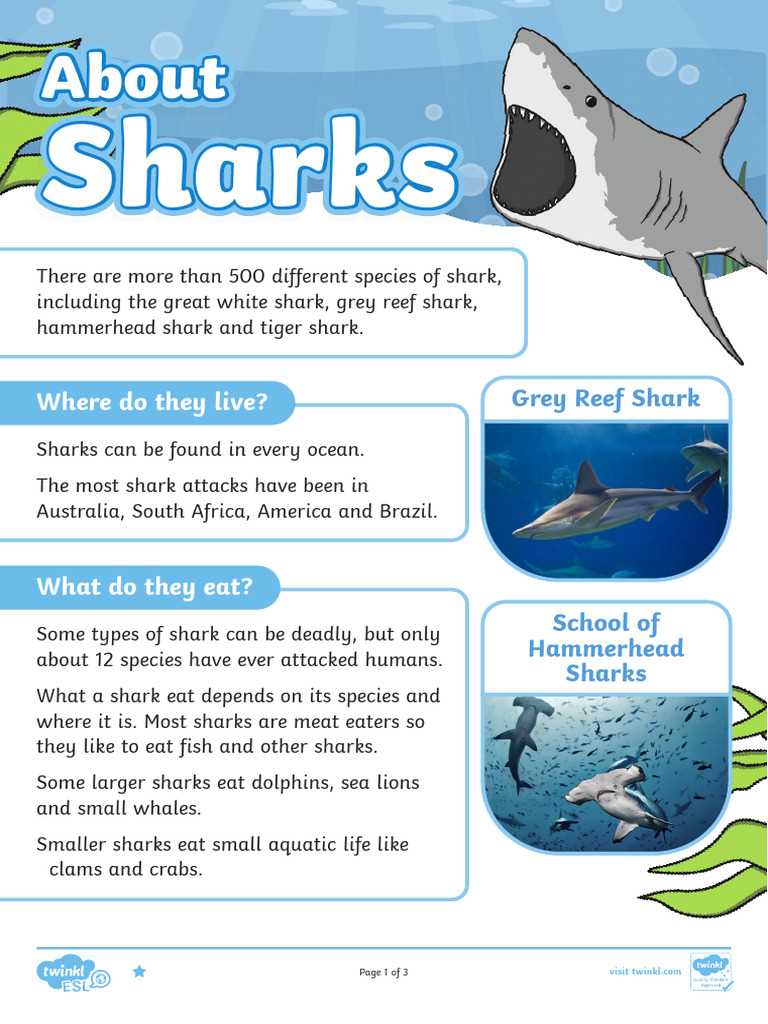 the real story about sharks 4th grade comprehension answer key