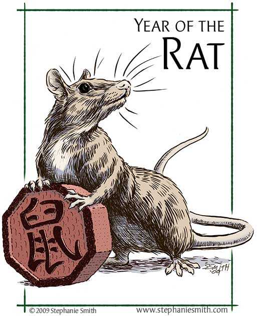 the year of the rat story 4th grade answer key