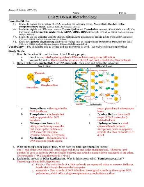 dna twizzler lab answer key