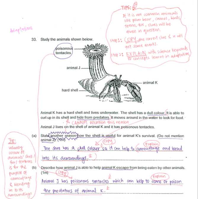 2018 psle math answer key