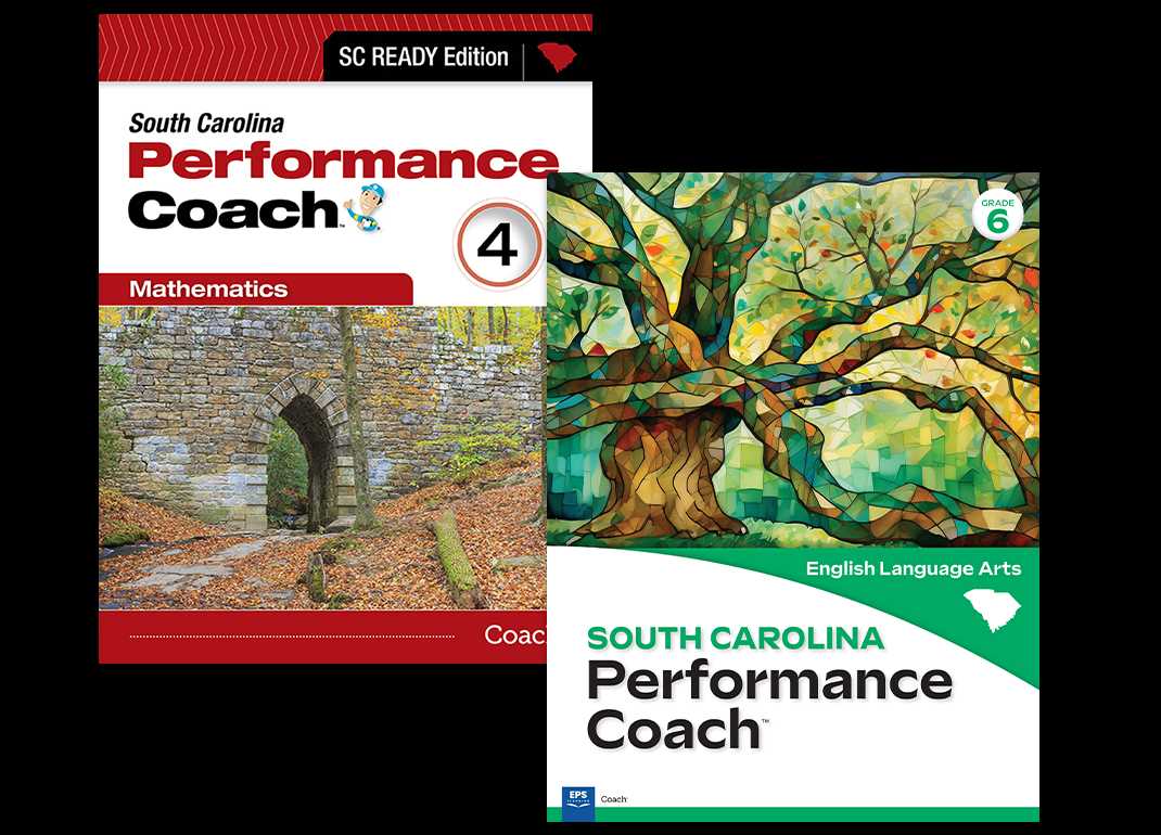 performance coach mathematics grade 3 answer key