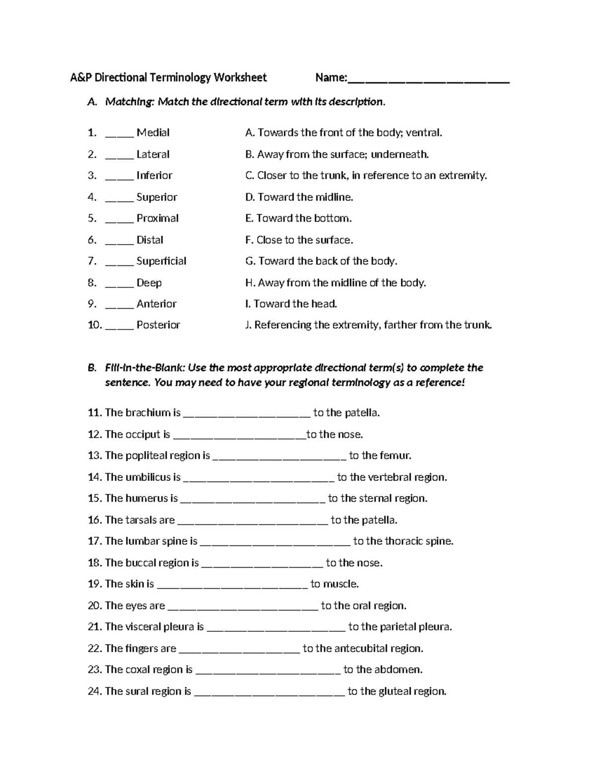 directional terms review worksheet answer key directional terms review worksheet answer key