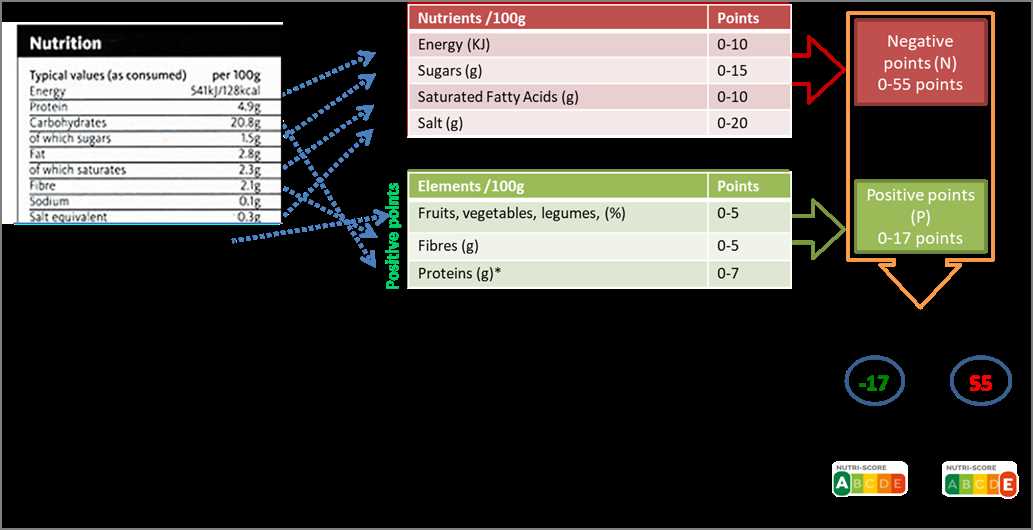 section 47 2 review blood answer key