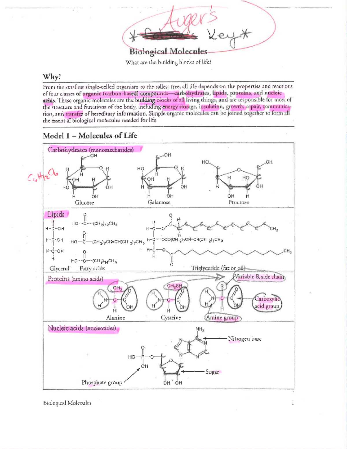 review sheet for building blocks of molecules answer key