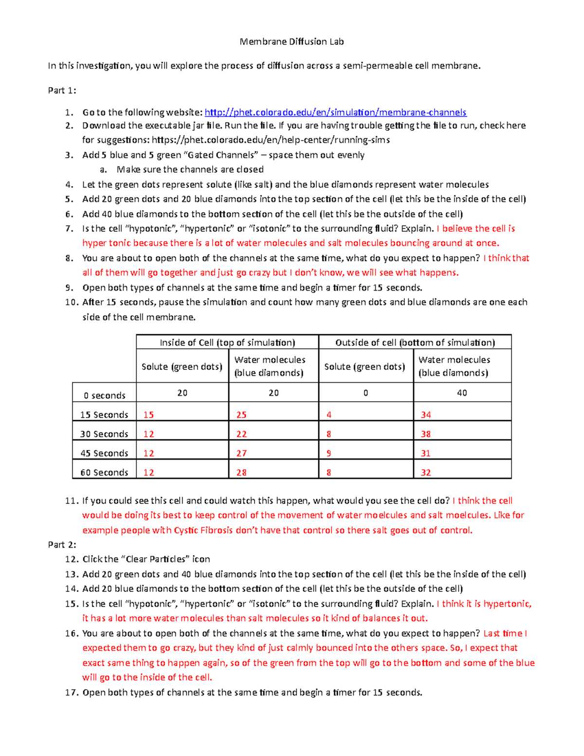 diffusion through a membrane answer key