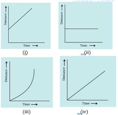 exercise seven physics motion graphs answer key