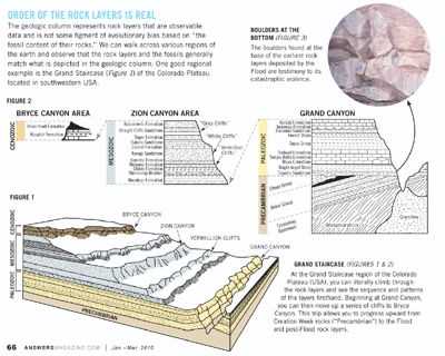 chapter 4 finding clues to rock layers answer key
