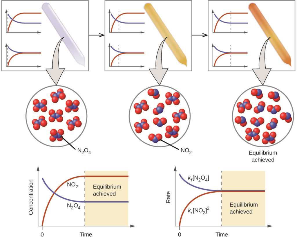 types of chemical reactions answers key do atoms rearrange