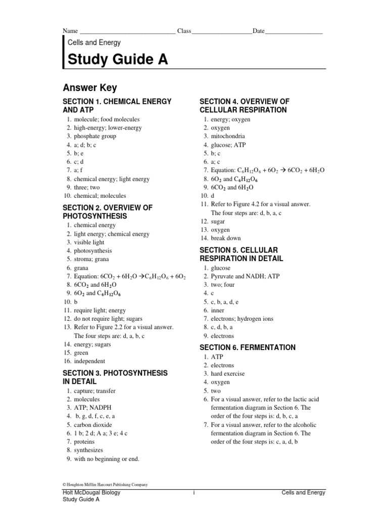 section 4.1 chemical energy and atp study guide answer key section 4.1 chemical energy and atp study guide answer key