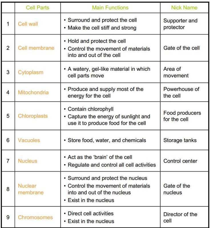 cell and their organelles answer key