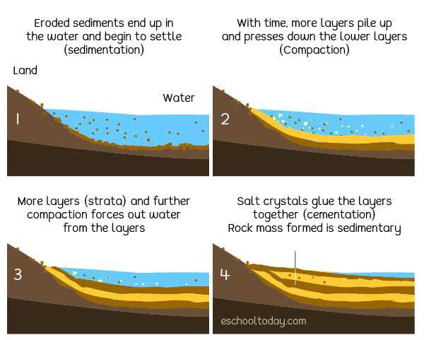 key concept builder lesson 3 sedimentary rocks answers