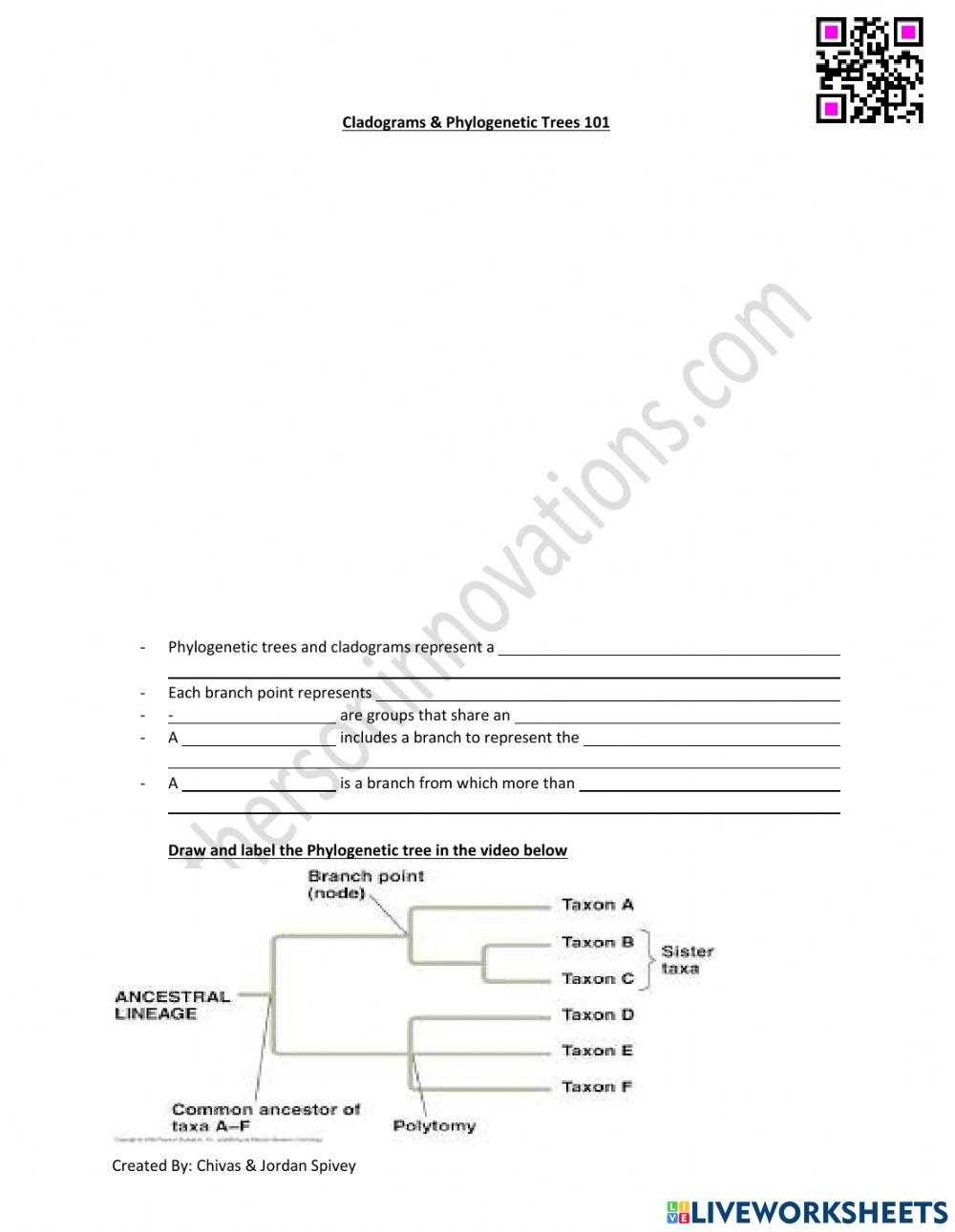 an introduction to cladograms and trees worksheet answer key