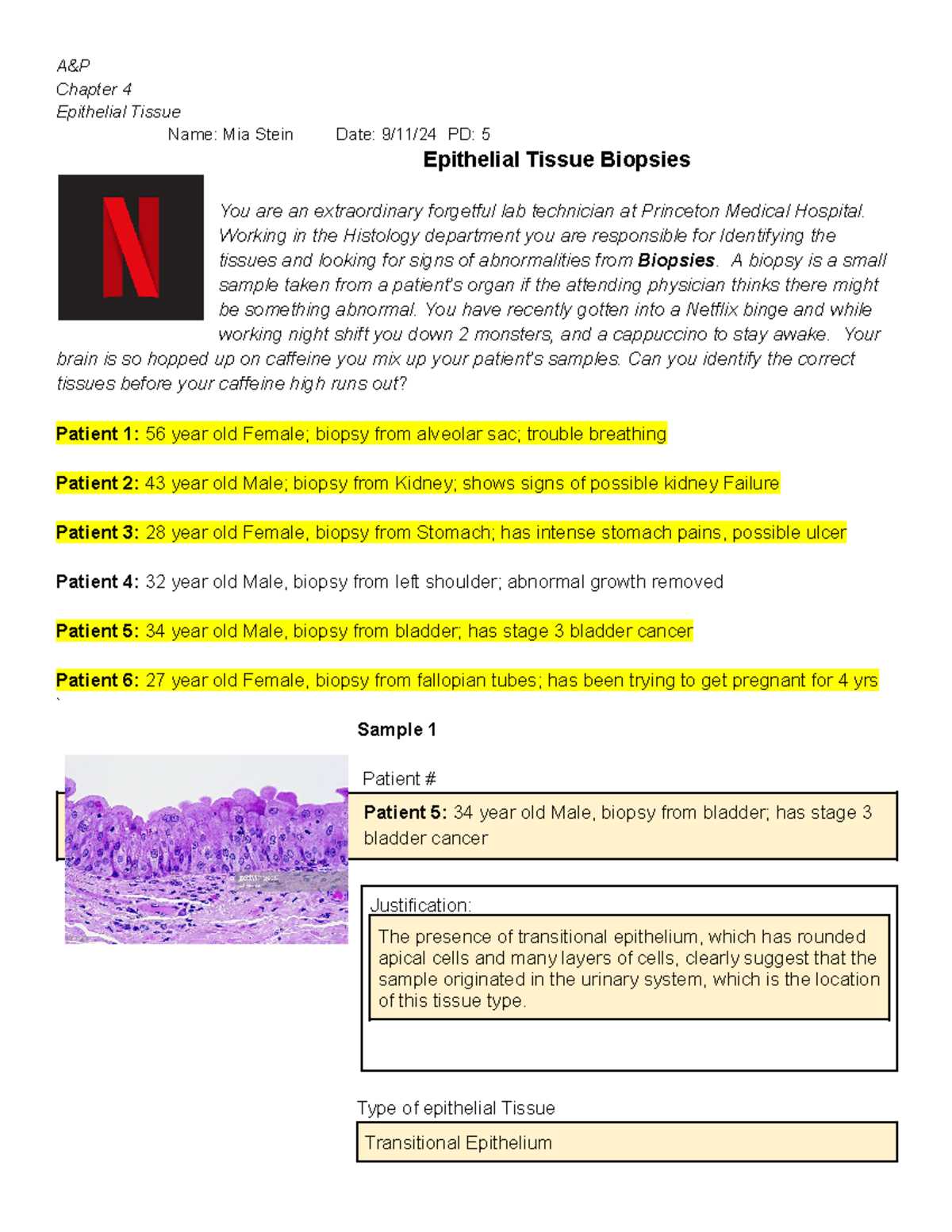 anatomy worksheet epithelial tissues answer key