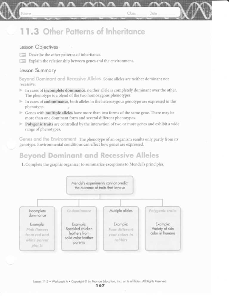 beyond dominant and recessive alleles answer key