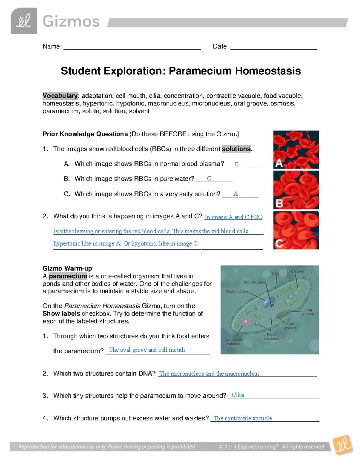 independent and dependent variable scenarios answer key