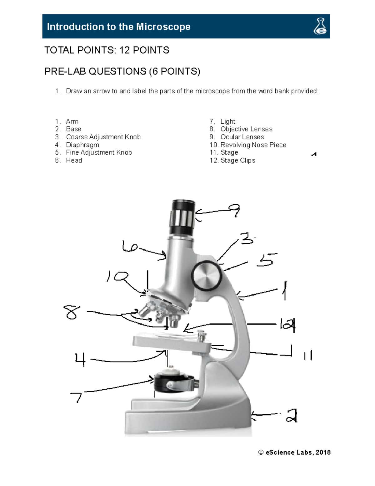 biology corner microscope answer key
