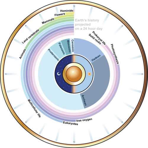 history of life on earth answer key