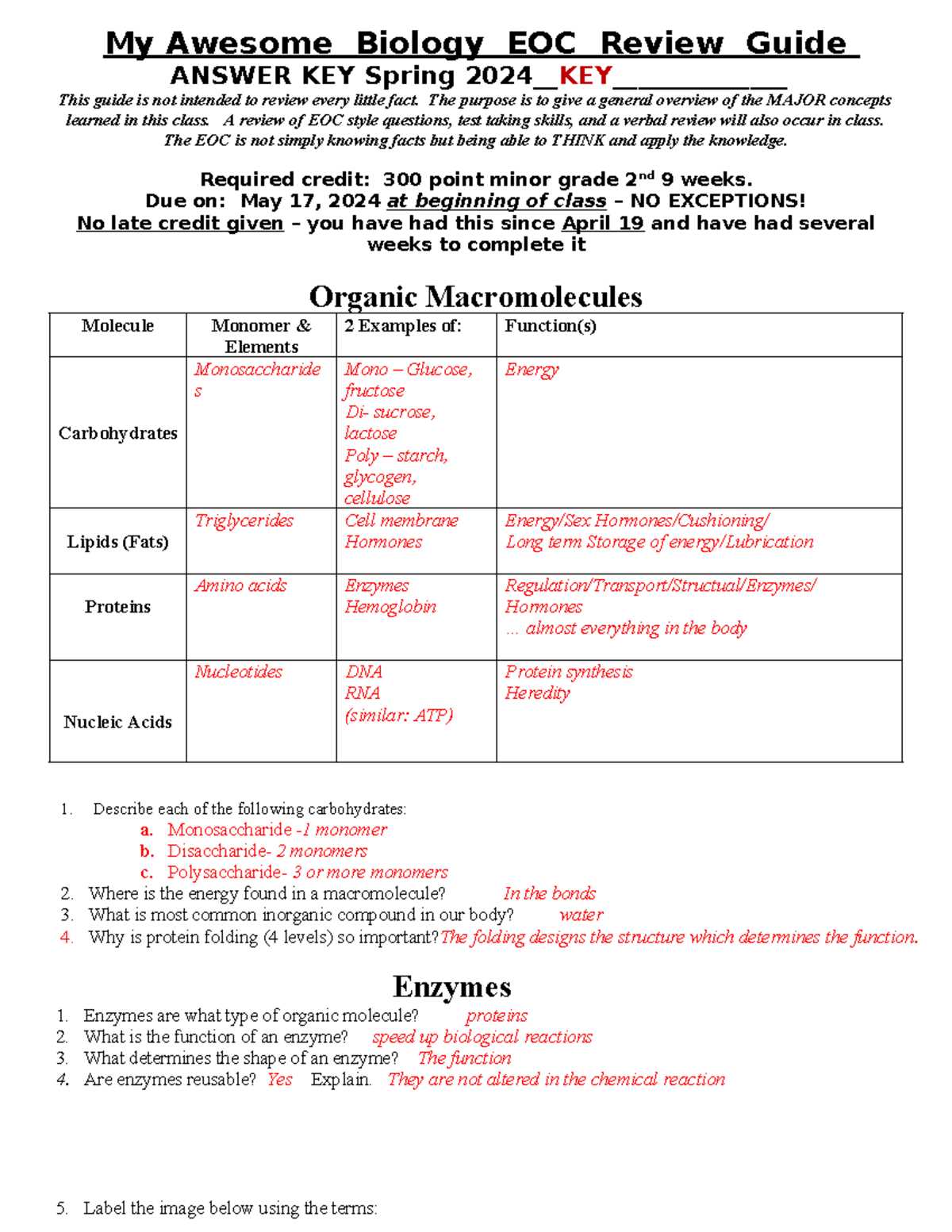 biology keystone review packet answer key