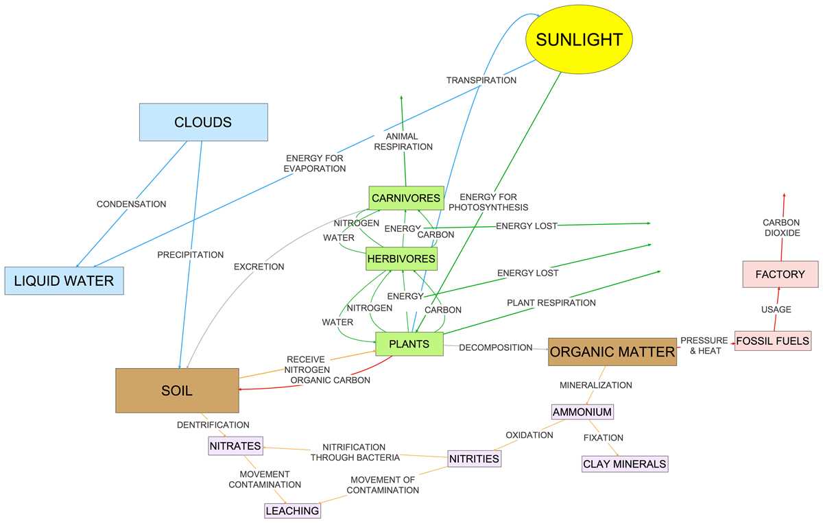 ecosystem concept map worksheet answer key
