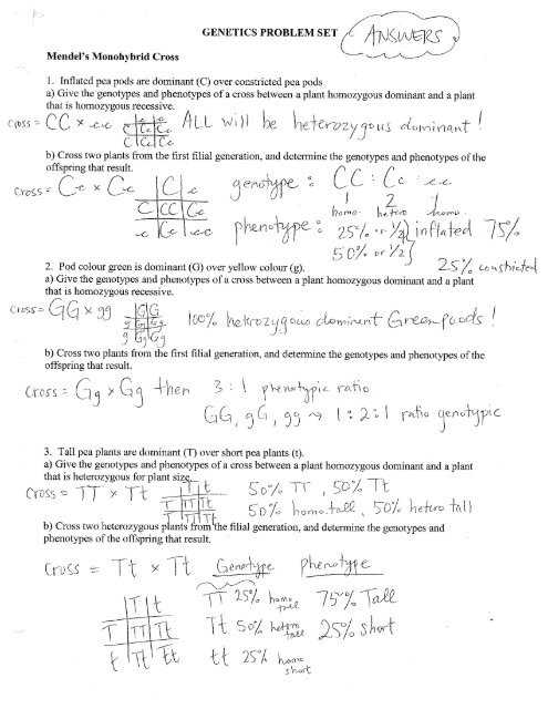 genetic problems answer key