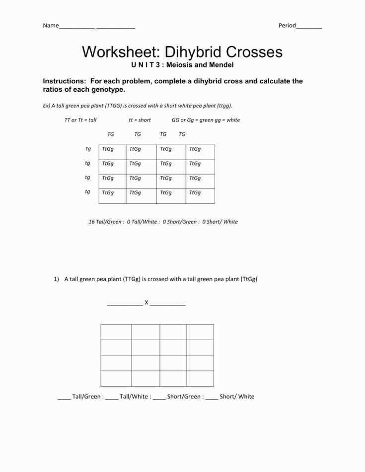 dihybrid crosses worksheet answer key dihybrid crosses worksheet answer key