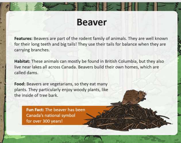 what did the beaver say to the tree answer key