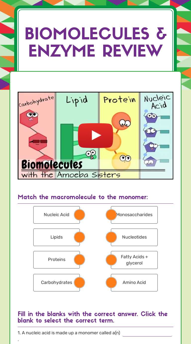 amoeba sisters biomolecules answer key