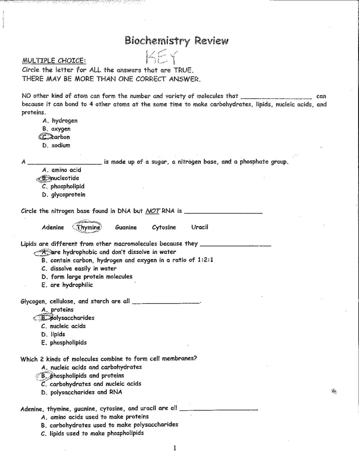 carbohydrates worksheet answer key