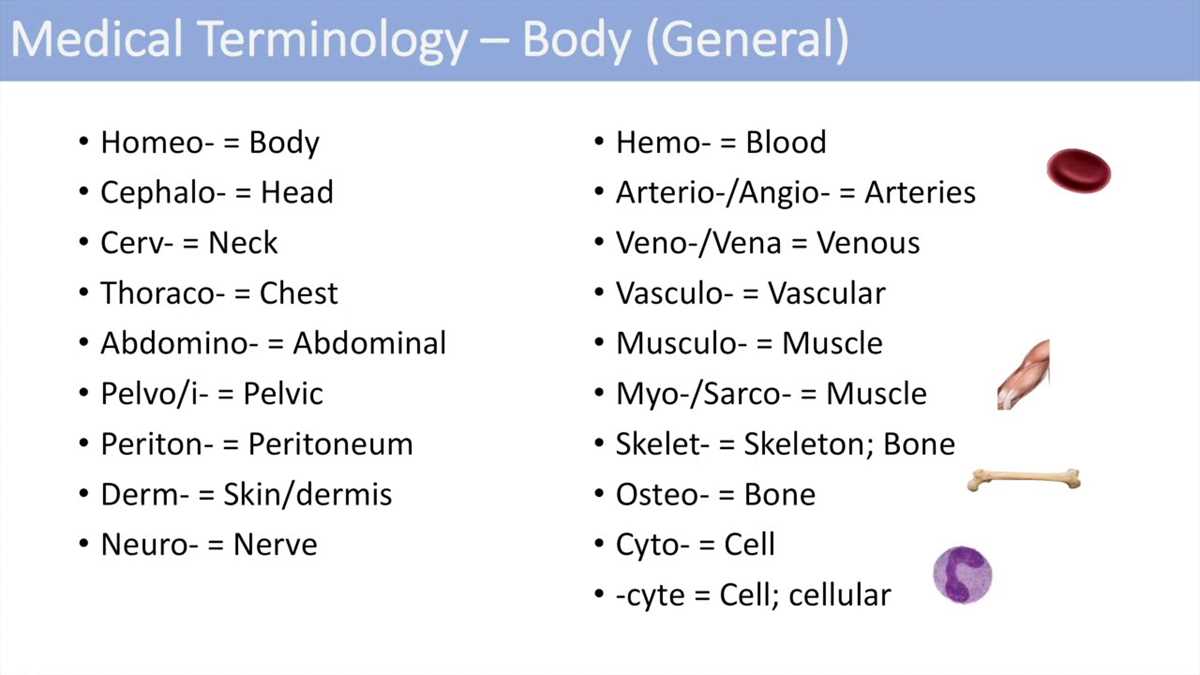 lesson 2.1 learning the key terms anatomy answers