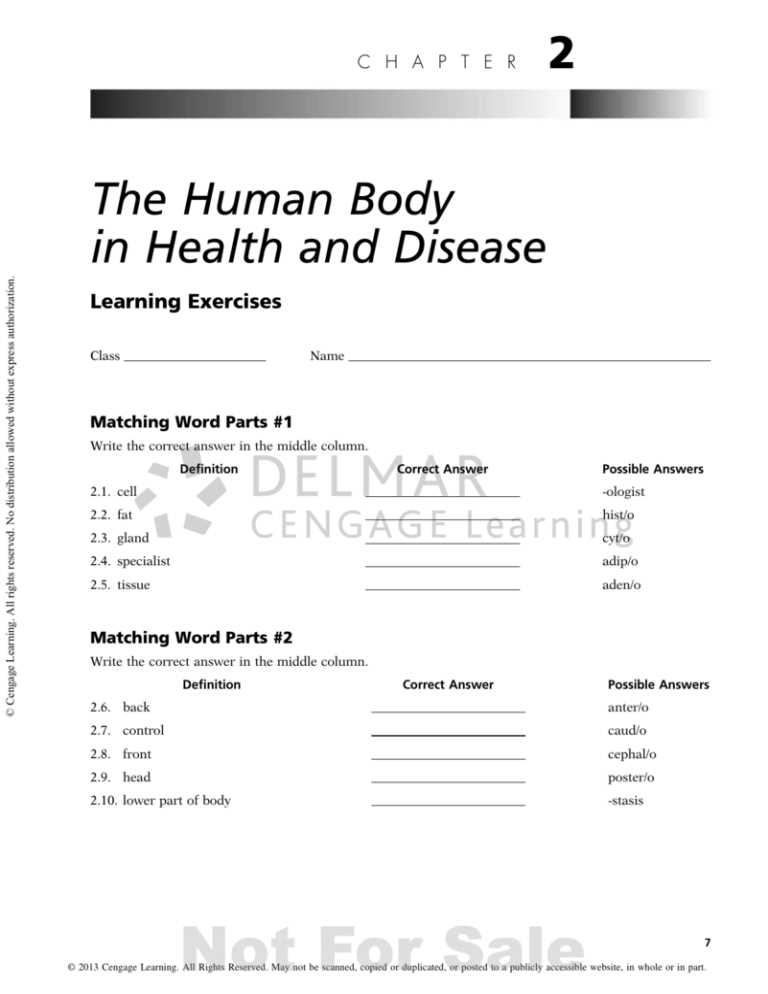 medical terminology answer key