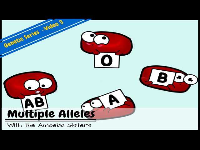 answer key codominance worksheet blood types answers