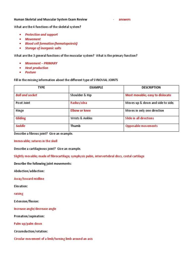 skeletal system day 1 review answer key skeletal system day 1 review answer key