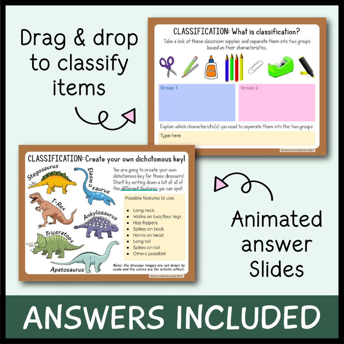 dichotomous key salamanders answers