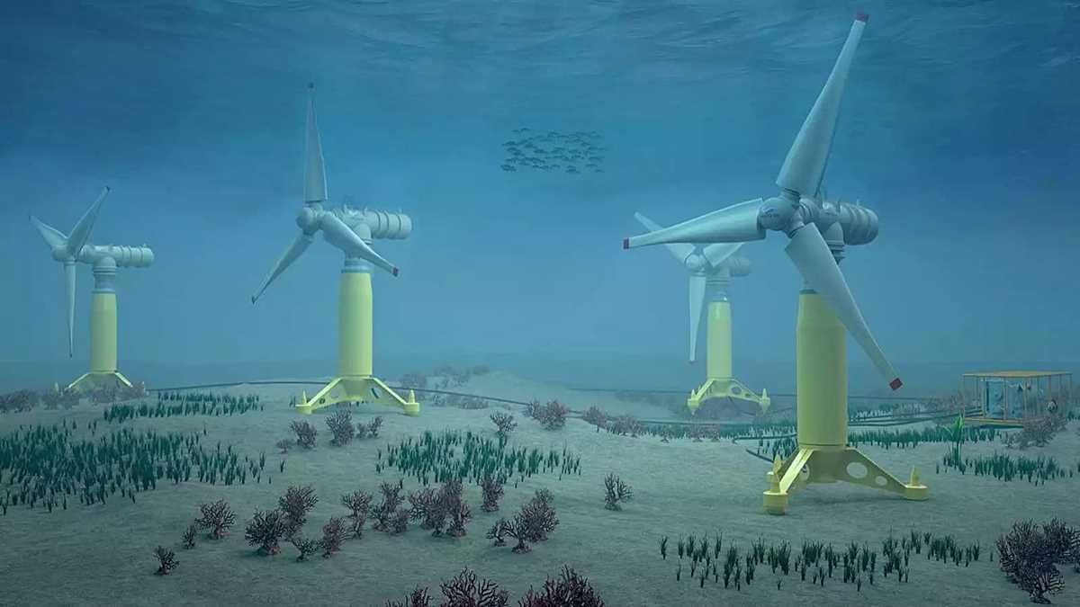 blue planet tidal seas answer key
