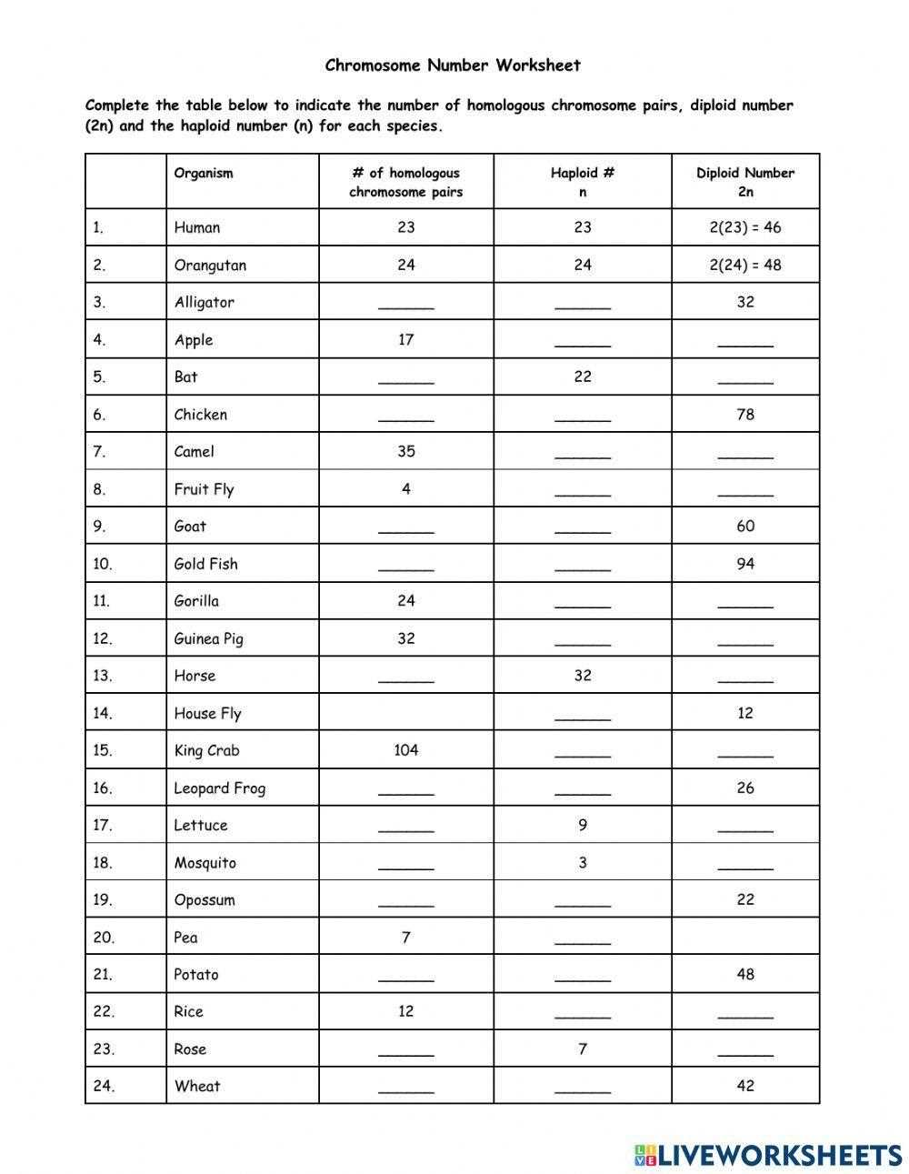 diploid and haploid worksheet answer key