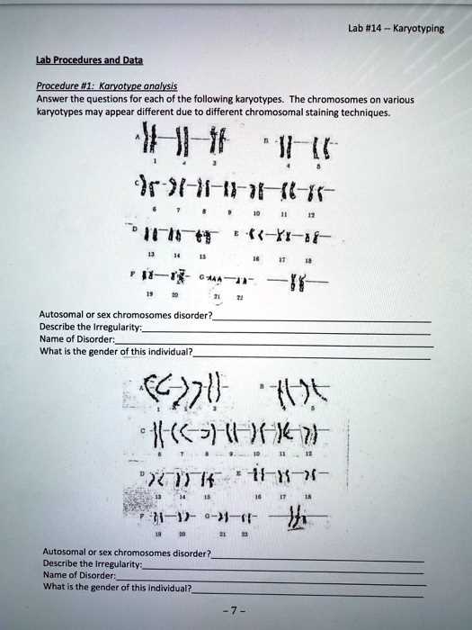 karyotype worksheet answers key