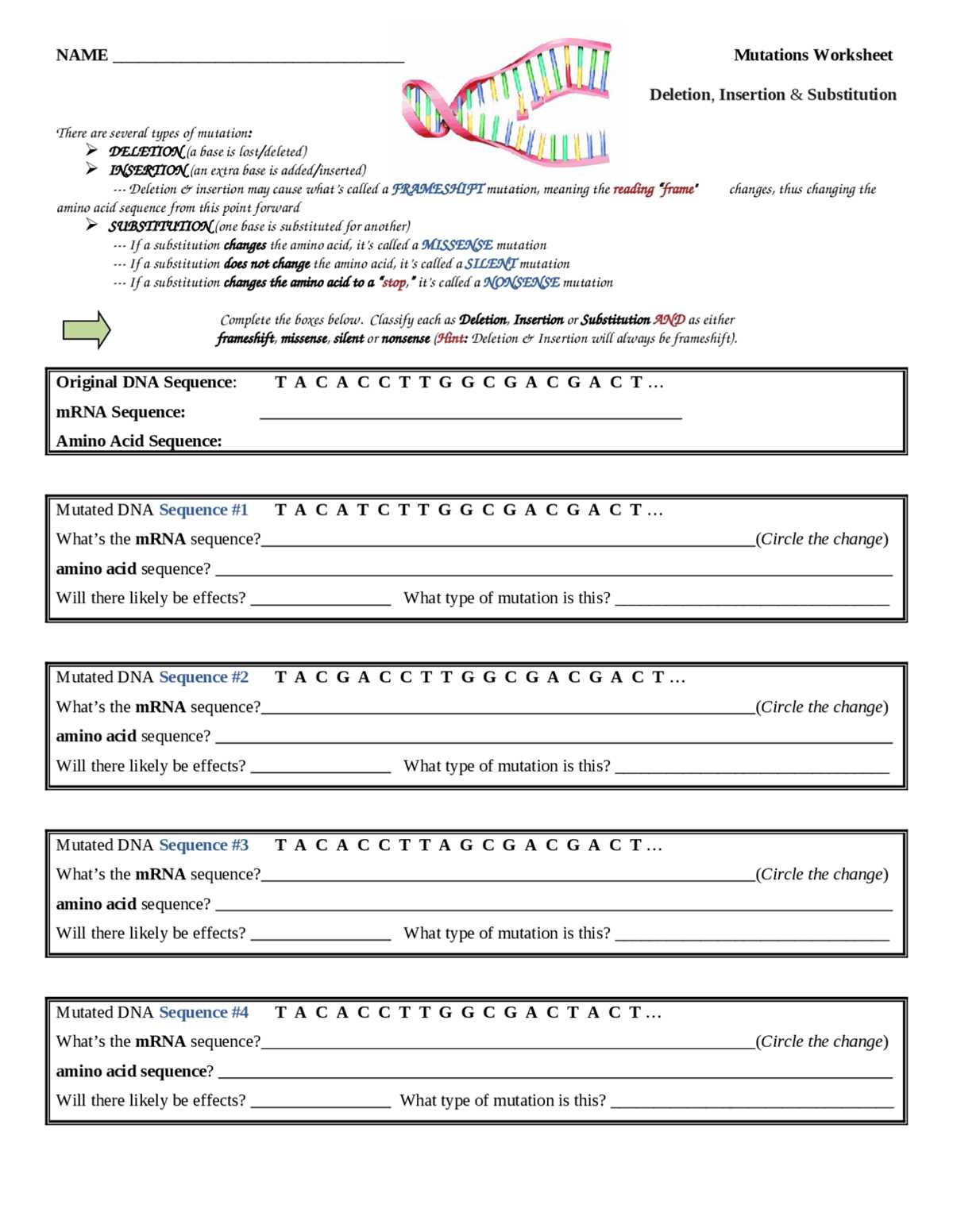 amoeba sisters dna vs rna answer key