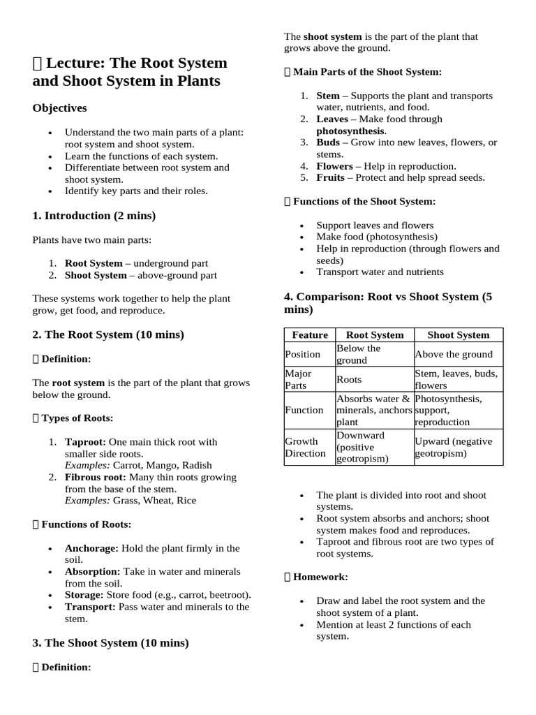 chapter 23 lesson 1 roots stems and leaves answer key
