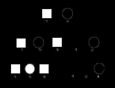 pedigree worksheet answer key