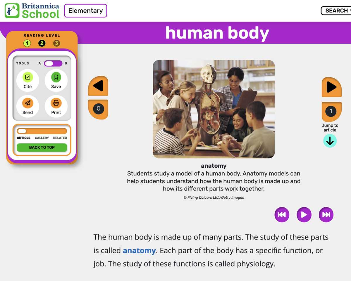 body systems web answer key