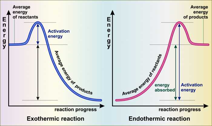 exothermic vs endothermic worksheet answers key
