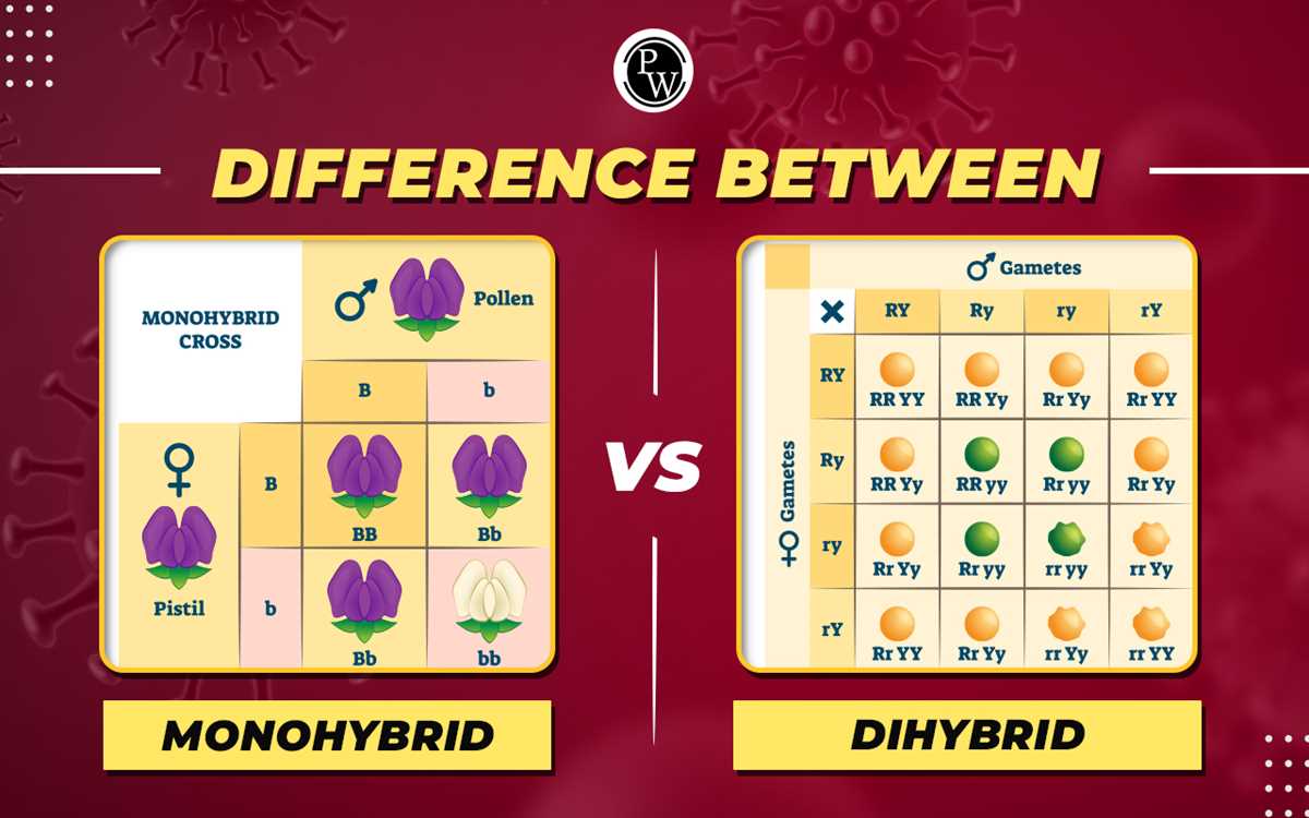 genetics practice monohybrids and dihybrids answer key