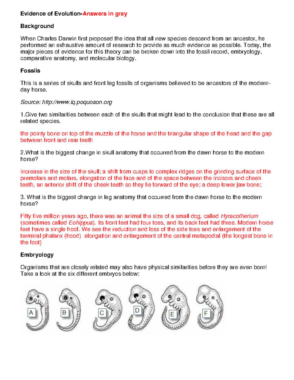 answer key evidence of evolution worksheet answers