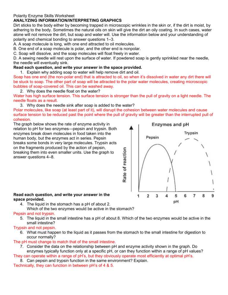 winter break packet biology classes answer key